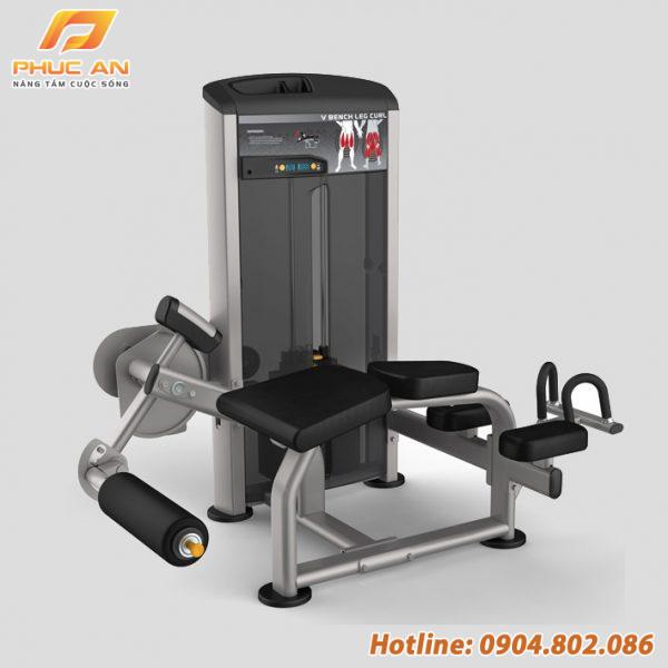 Máy tập cơ chân sau Impulse IE9521