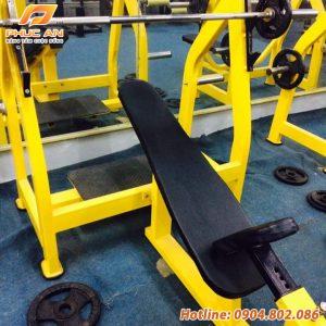 Giá Đẩy Ngực Trên PA