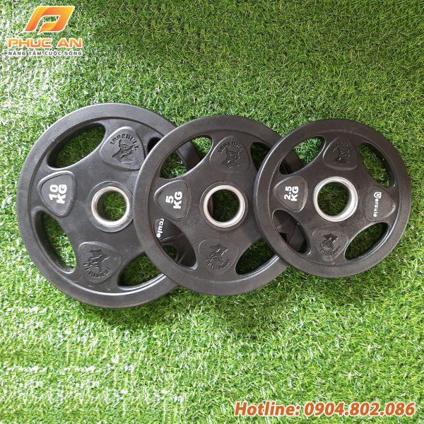 Bánh tạ thép bọc cao su (tạ miếng 4 lỗ)