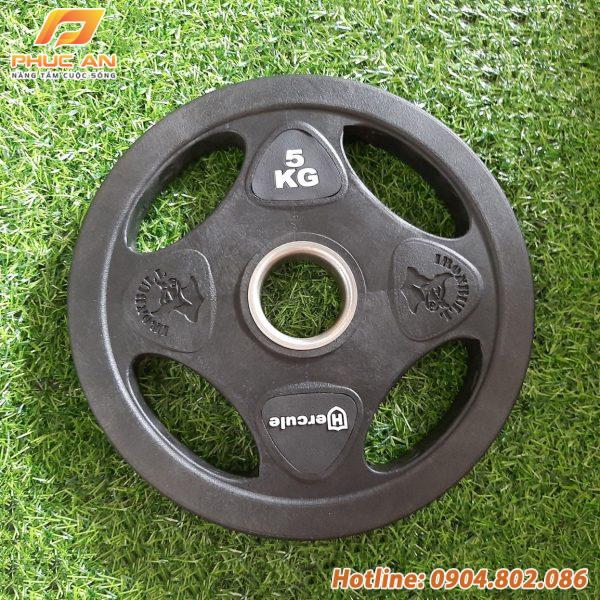 Bánh tạ thép bọc cao su (tạ miếng 4 lỗ)