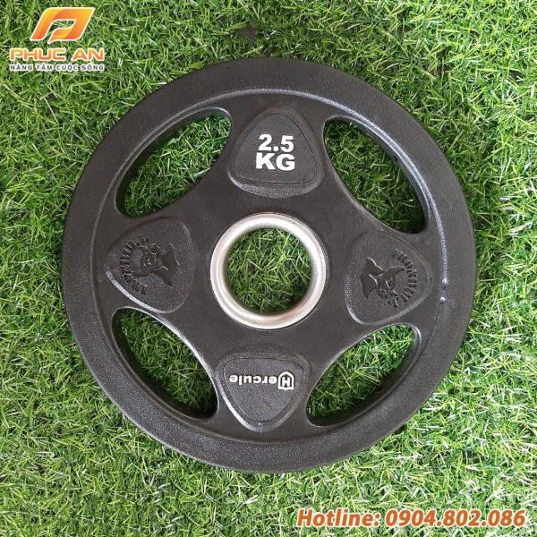 Bánh tạ thép bọc cao su (tạ miếng 4 lỗ)