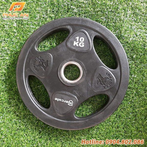 Bánh tạ thép bọc cao su (tạ miếng 4 lỗ)