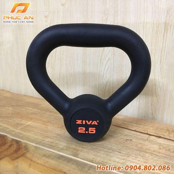Tạ ấm cao su Ziva 2,5kg
