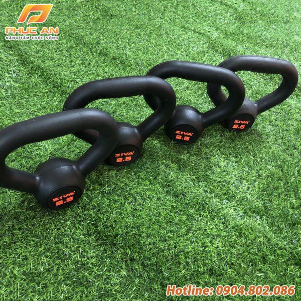 Tạ ấm cao su Ziva 2,5kg